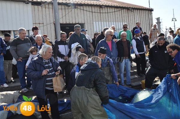 samak denisss (23).JPG